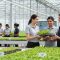 Bisnis Bibit Unggul Lewat Sistem Franchise Agribisnis